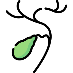 gallenblase icon