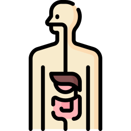 tratto gastrointestinale icona