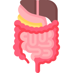 tracto gastrointestinal icono