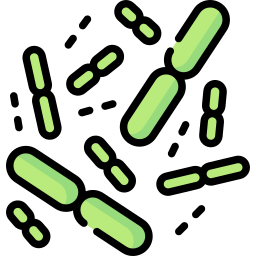 Gut bacteria icon