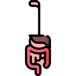 Gastrointestinal tract icon
