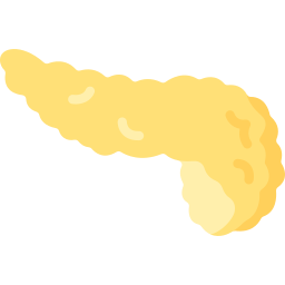 pankreas icon