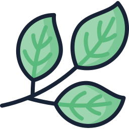 Leaves icon