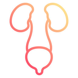 Kidney icon