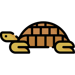 Turtle icon