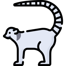lémur icono