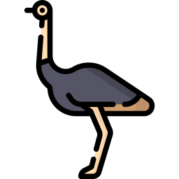 avestruz Ícone