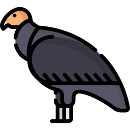 Condor icon