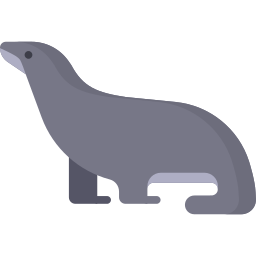 Sea lion icon