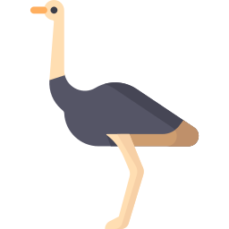 avestruz icono