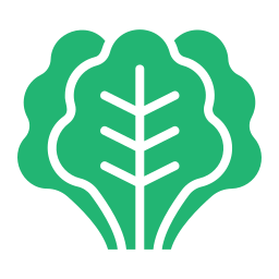 Kale icon
