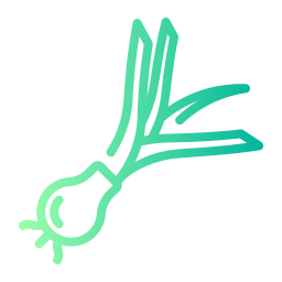 oignon vert Icône