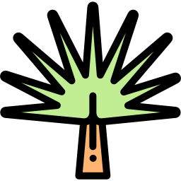 yucca icon