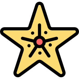 estrella de mar icono