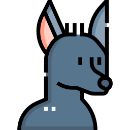 xoloitzcuintle icono