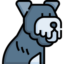 Miniature Schnauzer icon