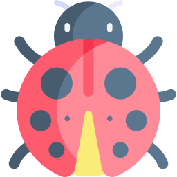 Ladybug icon