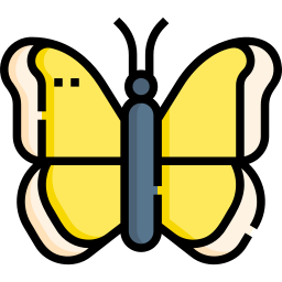 schmetterling icon