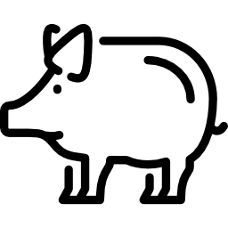 porc Icône