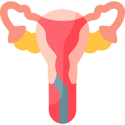 Endometrial icon