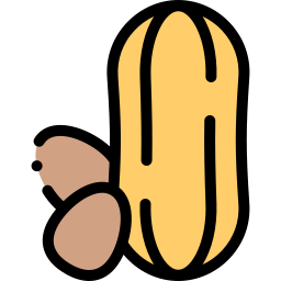 Peanut icon