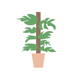 philodendron Icône