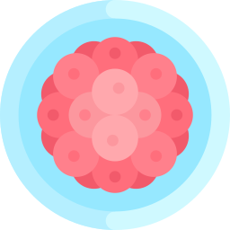 受精卵 icon