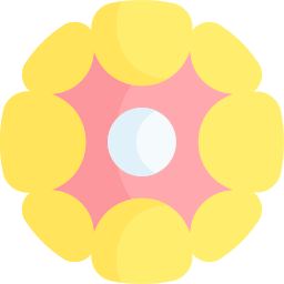 gelbkörper icon