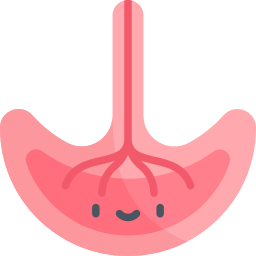 Placenta icon