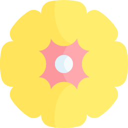ciałko żółte ikona