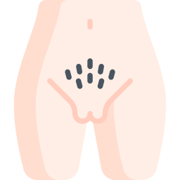 Genitalia icon