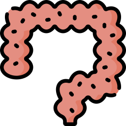 schistosomatoza ikona