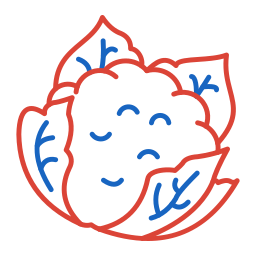 blumenkohl icon
