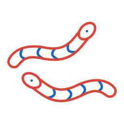 Worm icon