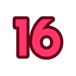 16 icoon