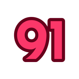 91 icon