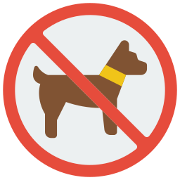 nessun cane icona