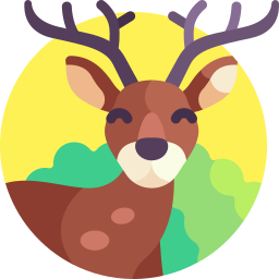 Reindeer icon