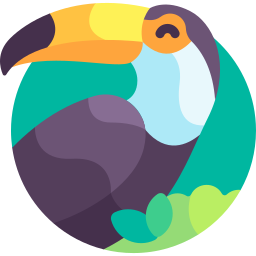 toucan Icône