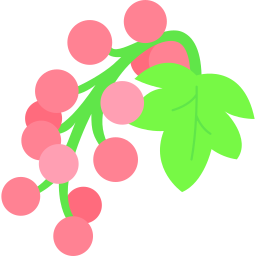 Redcurrant icon