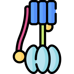 Enzyme icon