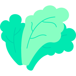 Lettuce icon