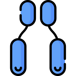 효소 icon