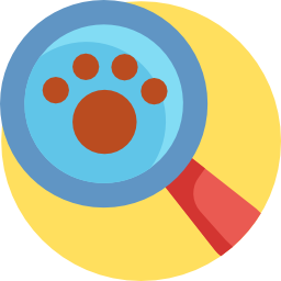 Search icon