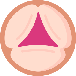 Aortic valve icon