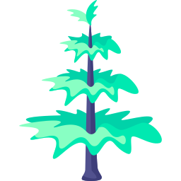 Árbol de araucaria icono