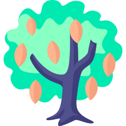 Cocoa tree icon
