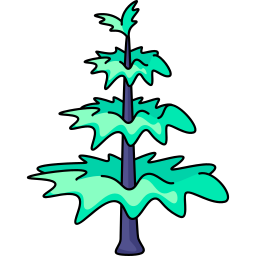 Дерево араукария иконка