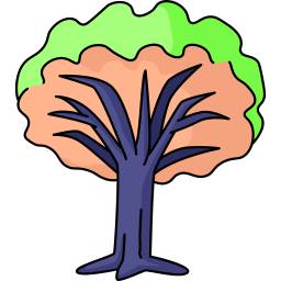 arbol dragon icono