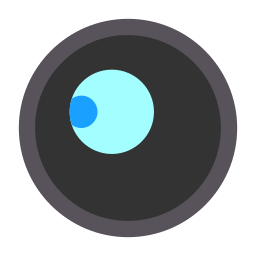 lens icoon